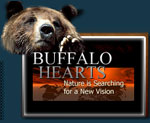Buffalo Hearts Movie Buffalo Hearts Movie logo