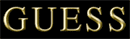 Guess logo