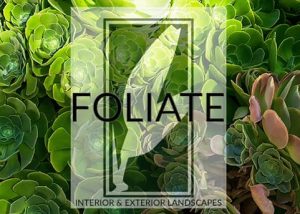 Foliate Plant Service - logo